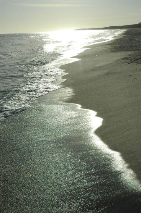 Playa del hotel Hotel Buena Vista Beach Resort