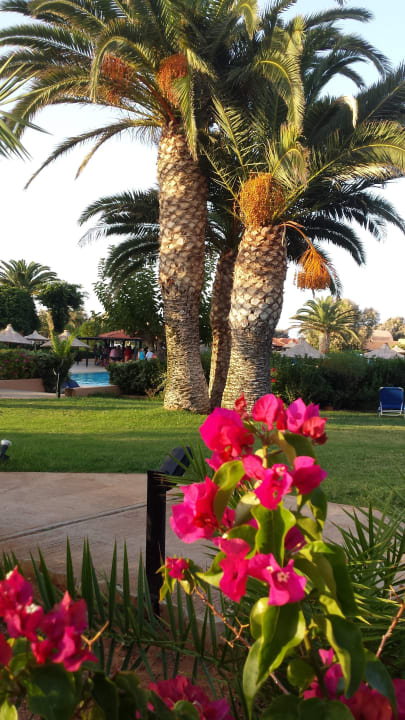 Beim Pool Anissa Beach & Village