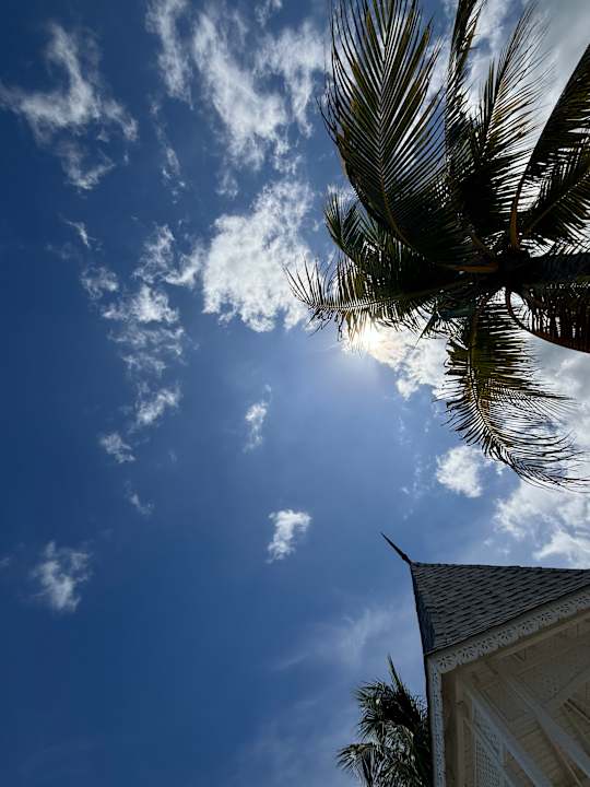 Strand Riu Montego Bay - Adults Only