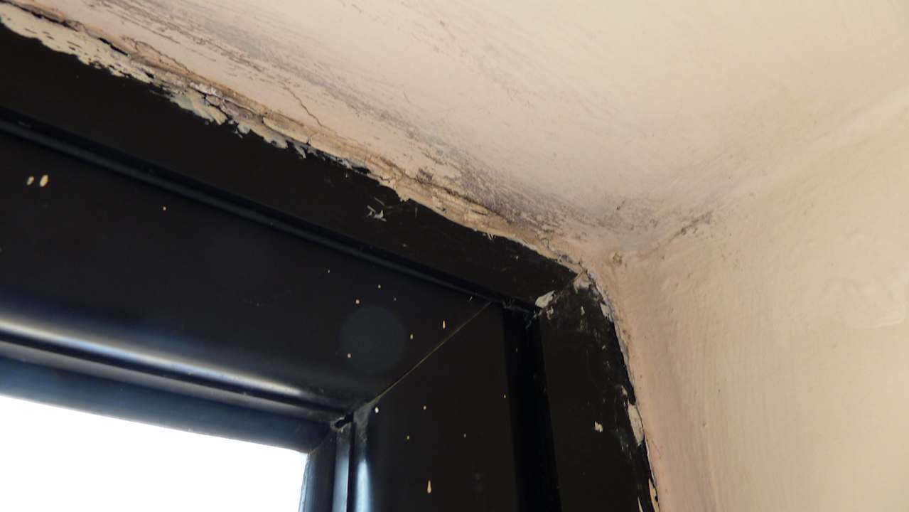 Schimmel an den decken Riviera Spa Resort - Adults Only