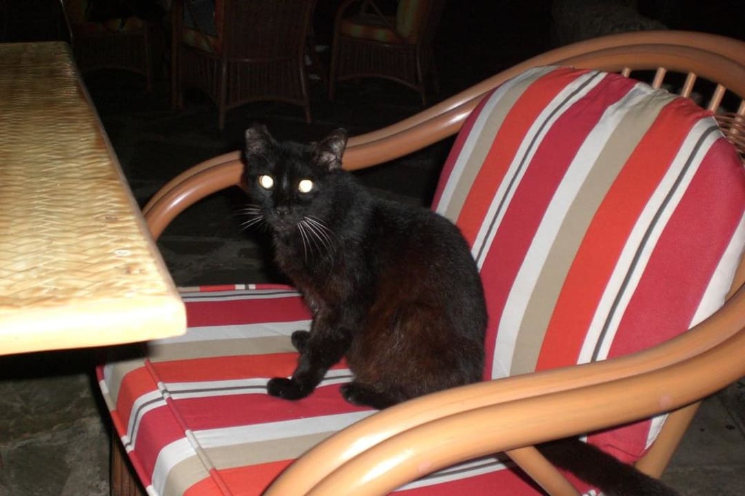 Moritz Baobab Beach Resort & Spa