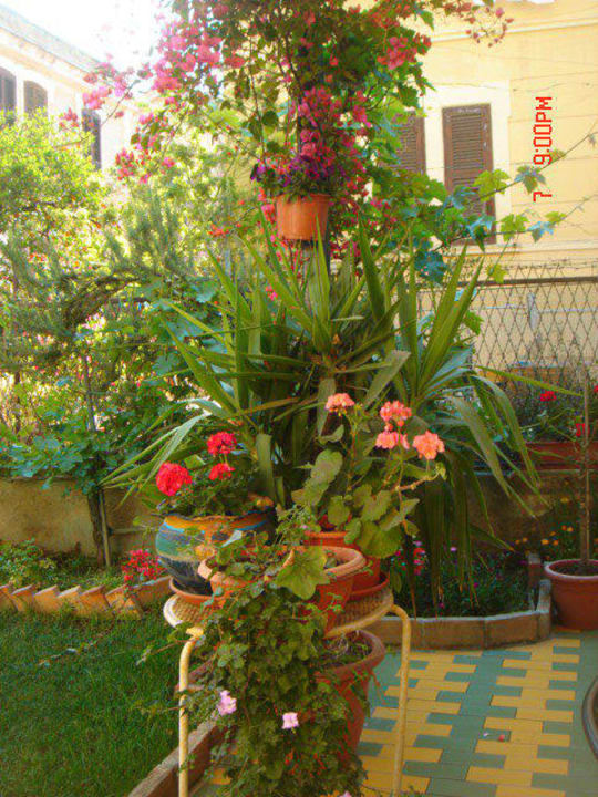 Giardino B&B Al Giardinetto