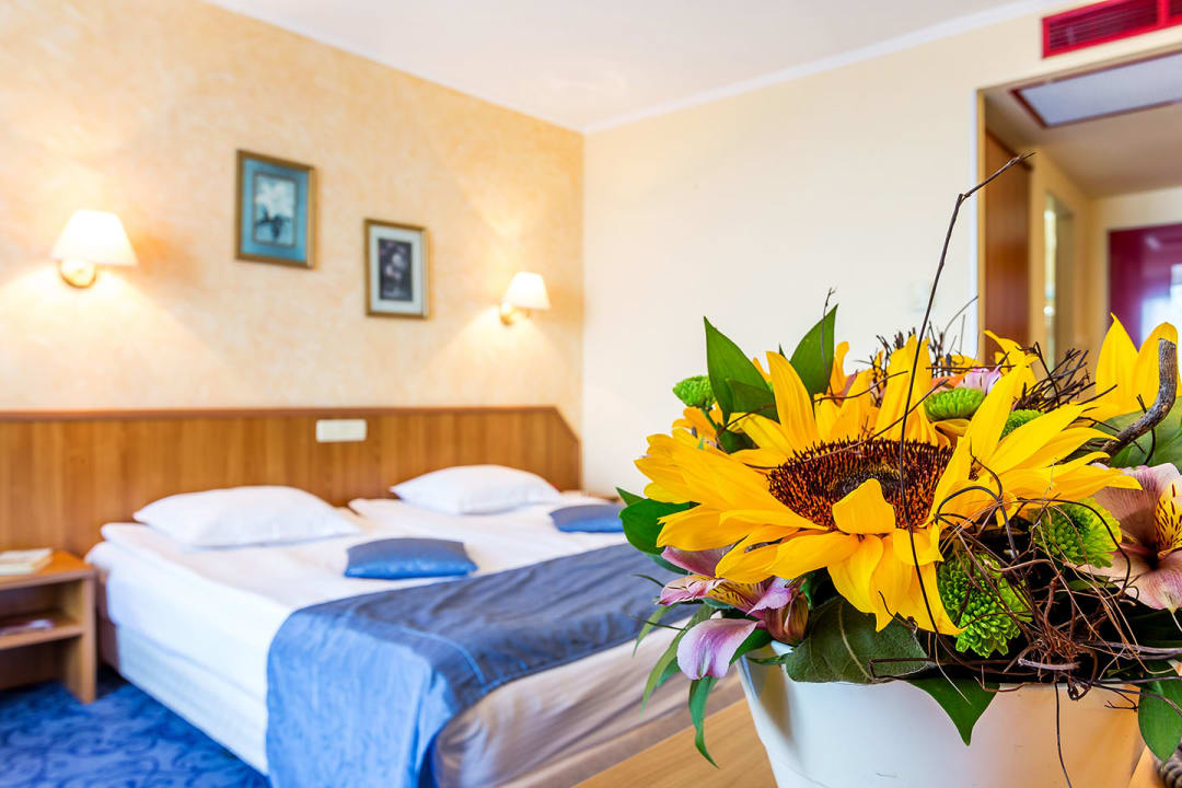 Zimmer Hotel & Spa St. George