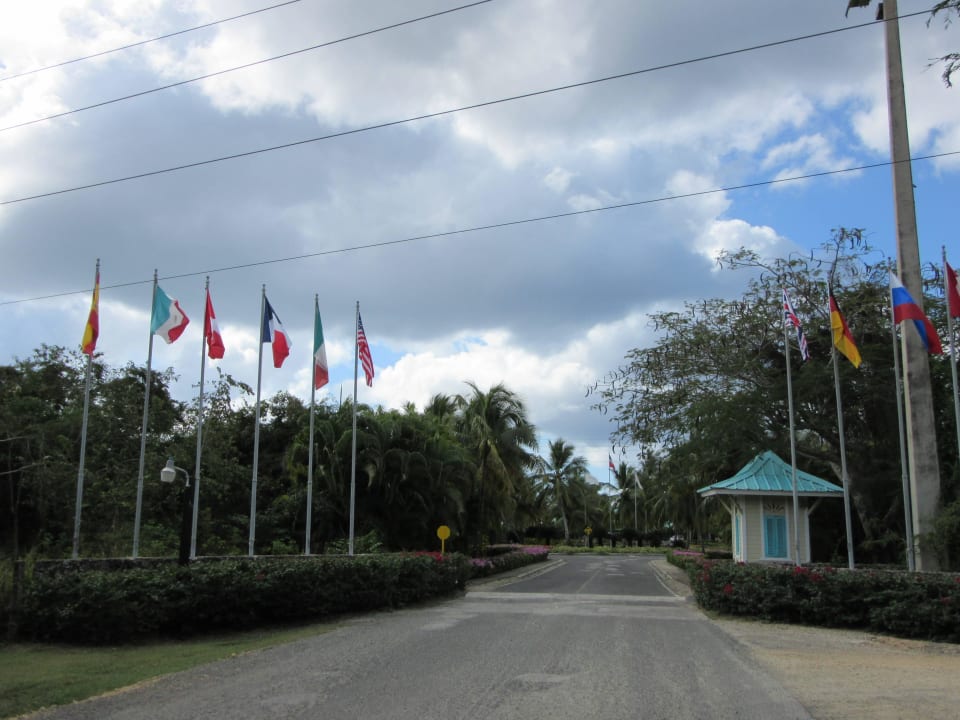 Auffahrt zum Hotel Dreams La Romana Resort & Spa