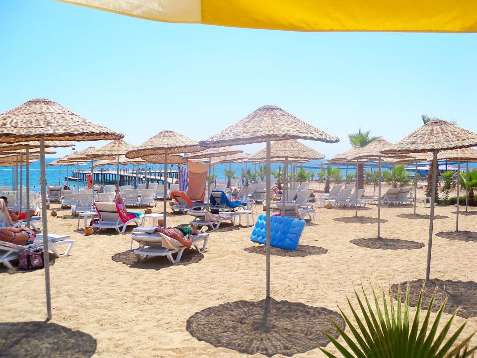 Strand Dizalya Palm Garden