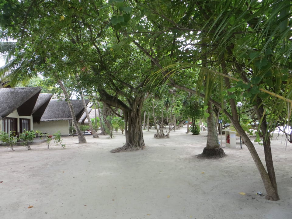 Spaziergang am Strand und den Beachvillen Adaaran Select Hudhuran Fushi - Premium All Inclusive