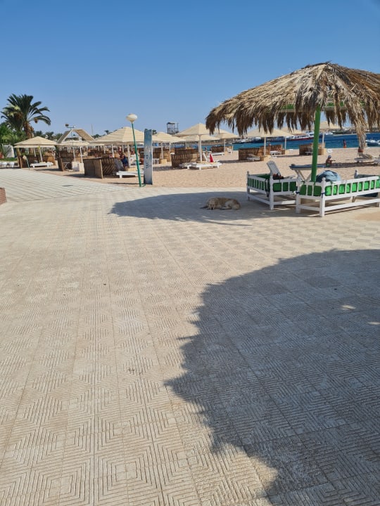 Strand Menaville Safaga