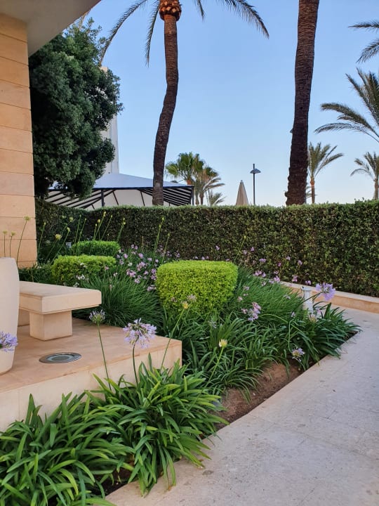 Gartenanlage Hipotels Hipocampo Playa