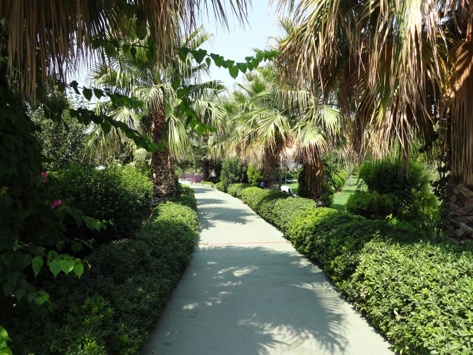 Weg zum Strand Trendy Aspendos Beach Hotel