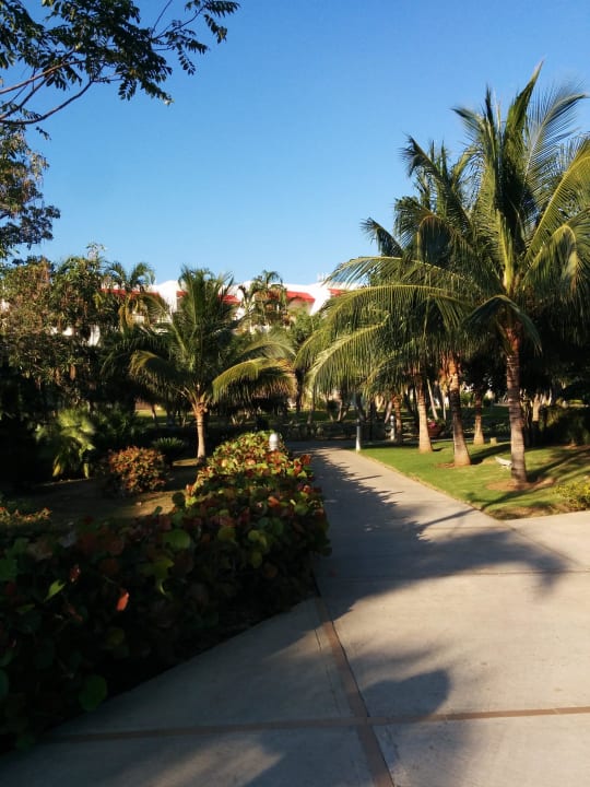 Garten Decameron Baru