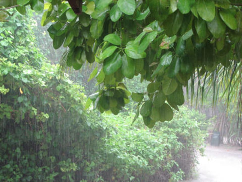 Regentag Adaaran Select Meedhupparu Island Resort - Premium All Inclusive