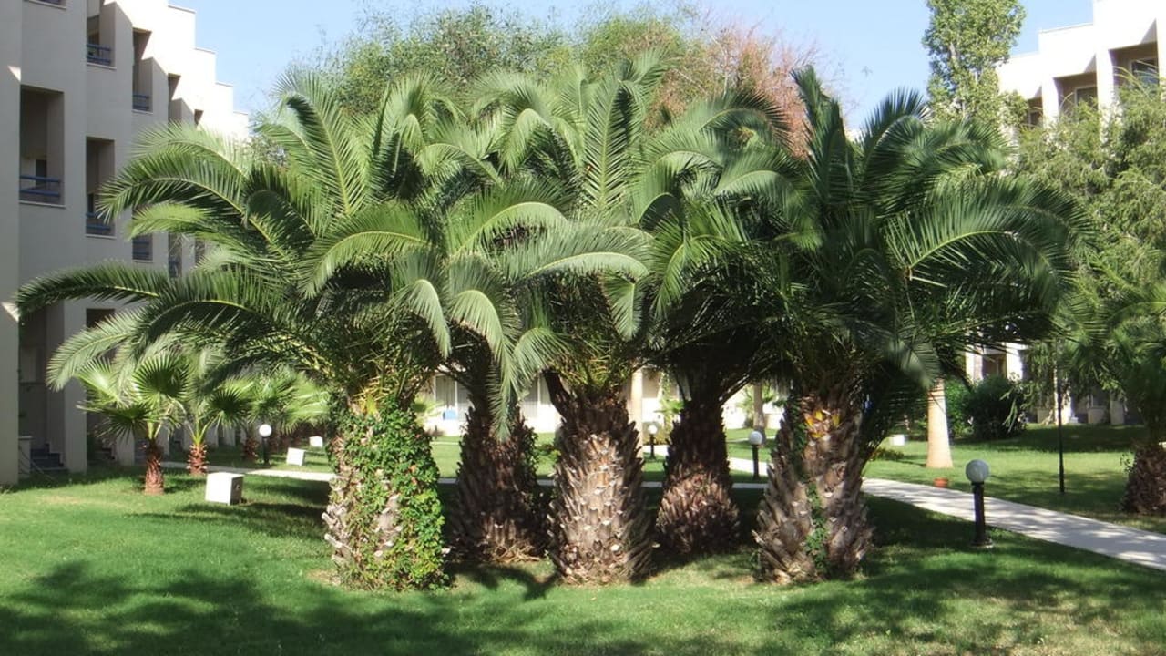 Palmengruppe Labranda Alantur Resort