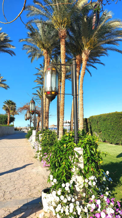 Außenansicht Grand Makadi