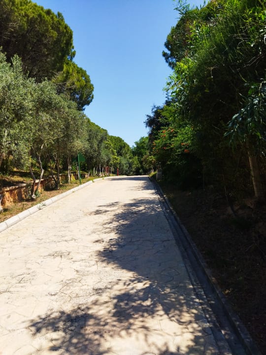 Gartenanlage Belconti Resort Hotel