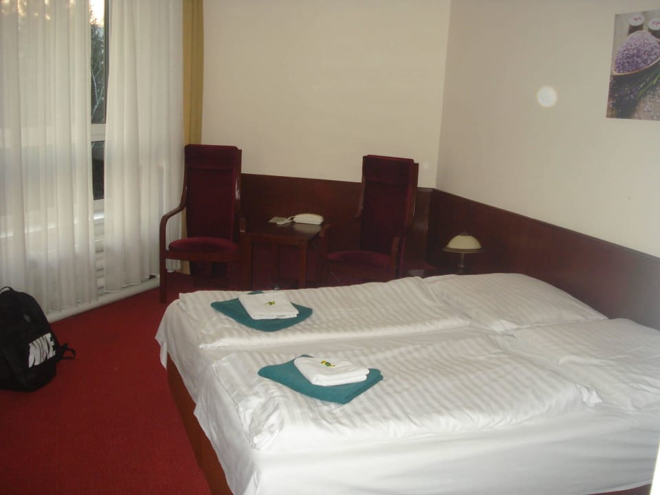 Pokoj Wellness Hotel Svornost