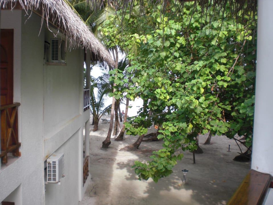 Blick aus unserm Zimmer Fihalhohi Maldives