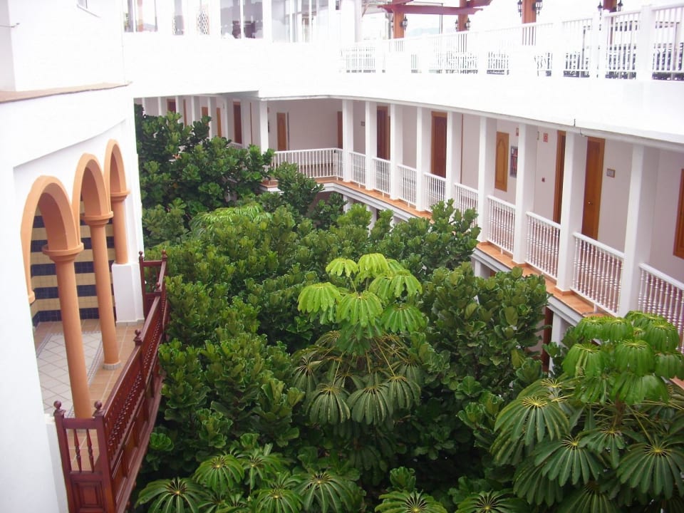 Garteninnenanlage Hotel Riu Palace Tenerife