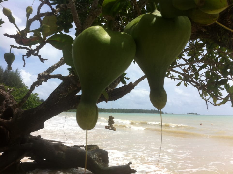 Strand Kantary Beach Hotel - KHAO LAK
