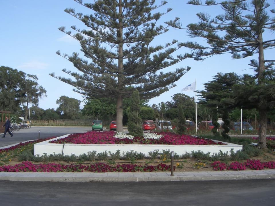 Sonstiges TUI BLUE Oceanis Beach and Spa Resort