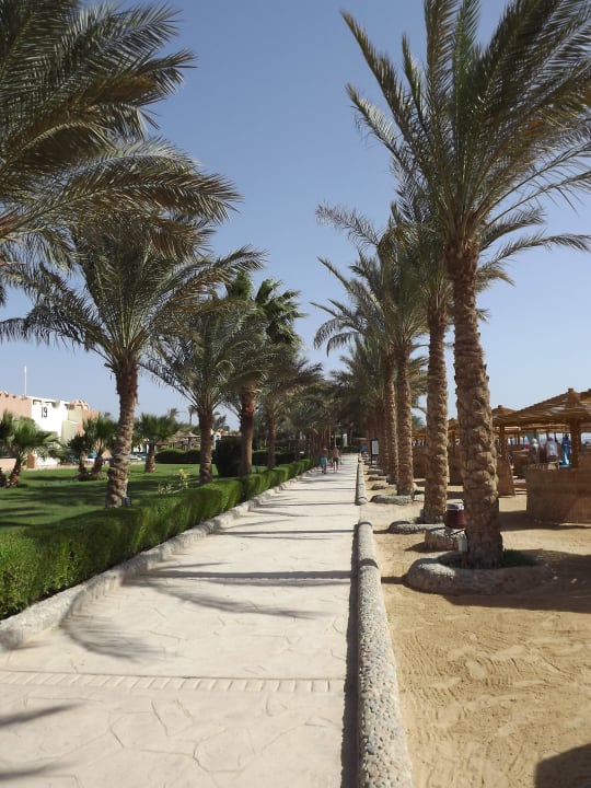 По пути на пляж SUNRISE Royal Makadi Resort