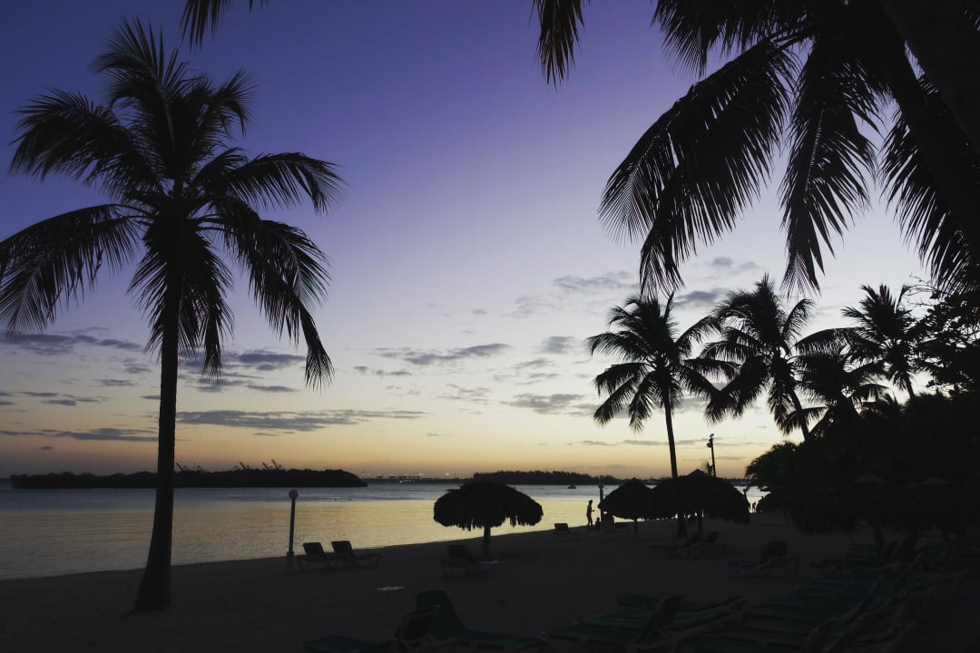 Abends whala!boca chica