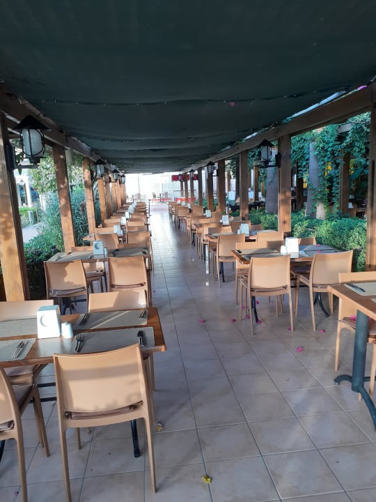 Sport & Freizeit Trendy Palm Beach (Adults Only, 16+)