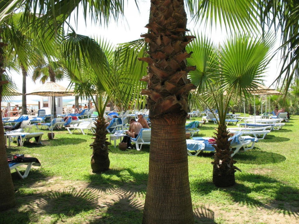 Hinterm Strand  Miramare Queen Hotel