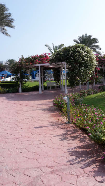 Gartenanlage Desert Rose