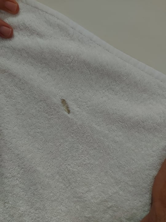 Zimmer Shams Prestige Abu Soma-Adults Only