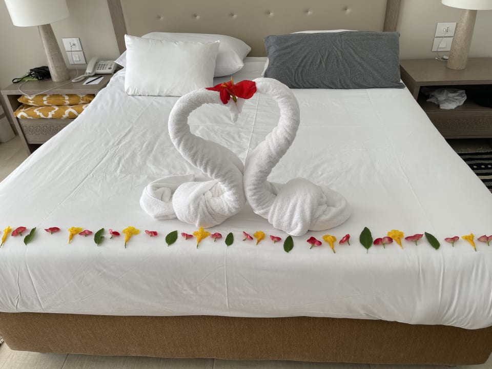 Zimmer Steigenberger Resort Alaya Marsa Alam - Red Sea - Adults only