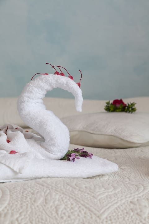 Zimmer Agriturismo Podere L'Agave