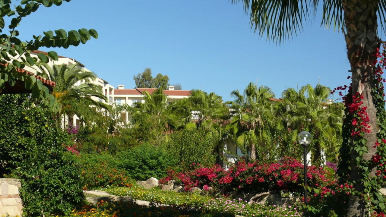 Schöner gepflegter Garten Arum Barut Collection