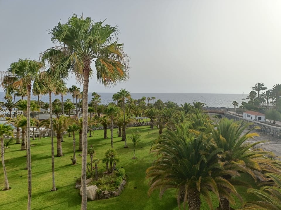 Ausblick Hotel Riu Palace Tenerife