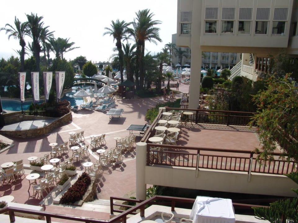 Sun terrace. PALOMA Perissia