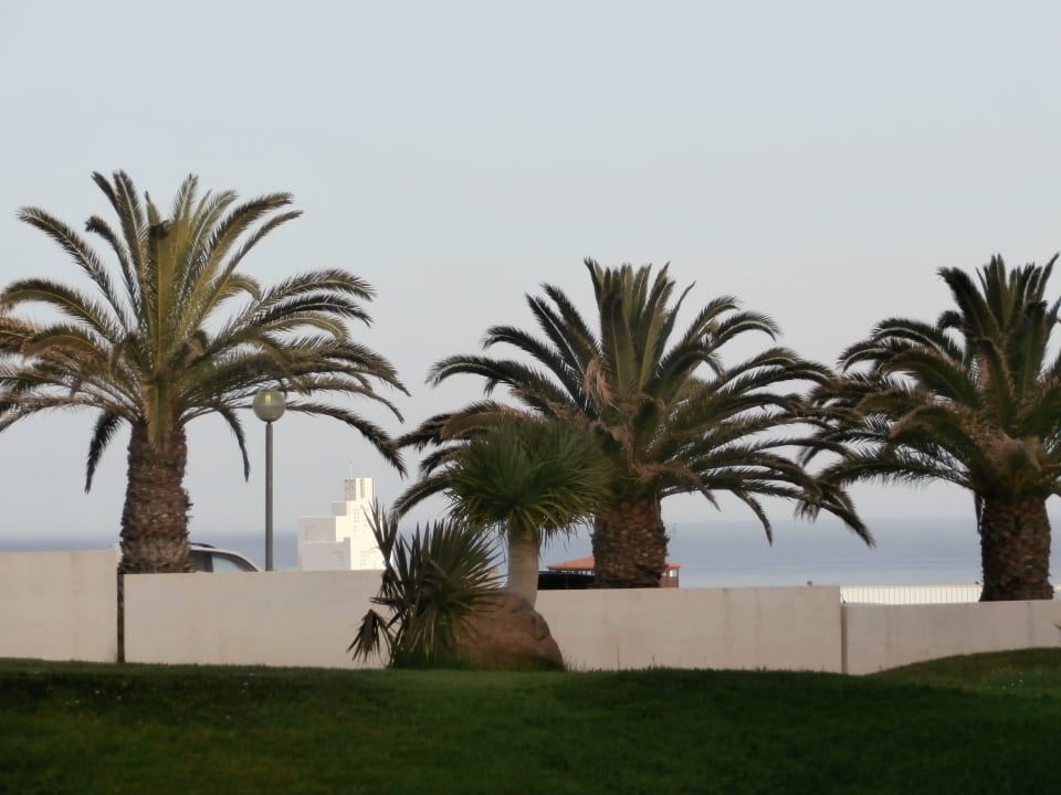 Meerblick allsun App.-Hotel Esquinzo Beach