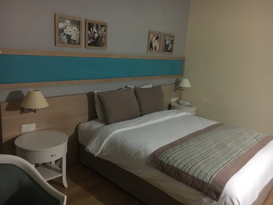 Zimmer Asteria Collection Side