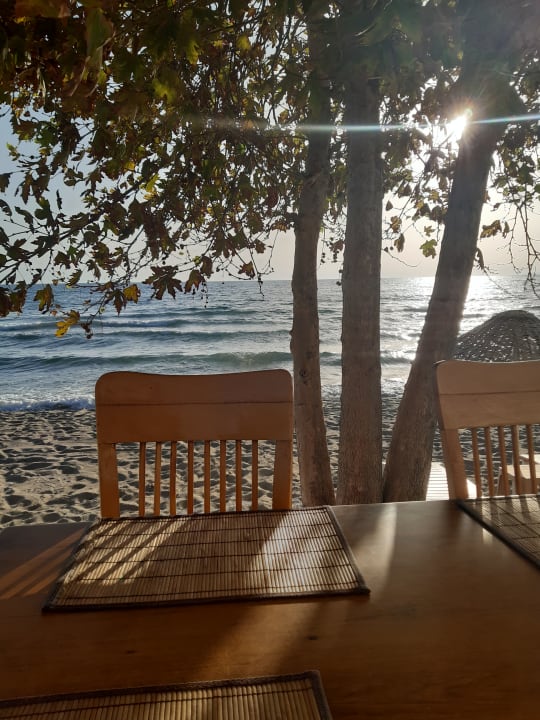 Gastro Dogan Paradise Beach