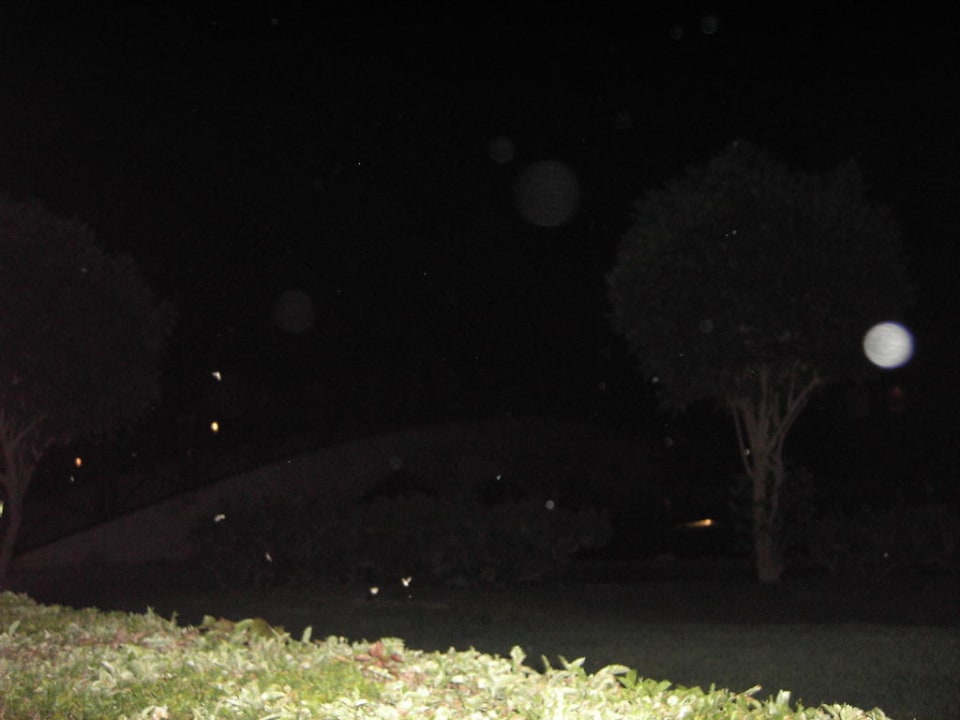 Foto Pickalbatros Dana Beach Resort - Hurghada