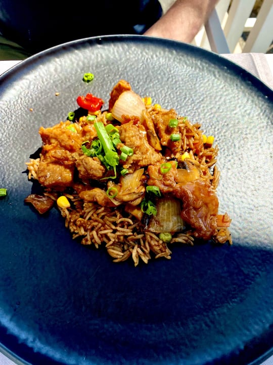 Gastro Acanthus Cennet Barut Collection