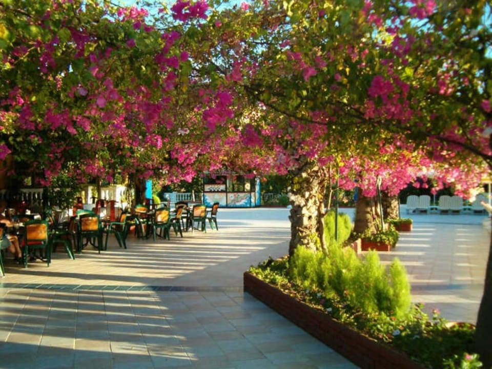 Hotel Riva Atli Bay The Garden Beach Hotel (Vorgänger-Hotel - existiert nicht mehr)