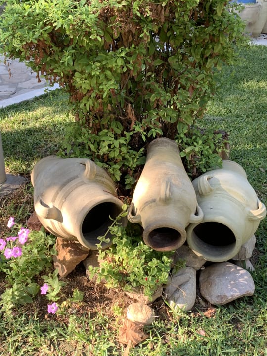 Gartenanlage The Orangers Beach Resort and Bungalows