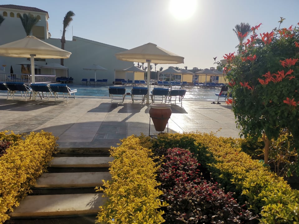 Pool Pickalbatros Dana Beach Resort - Hurghada