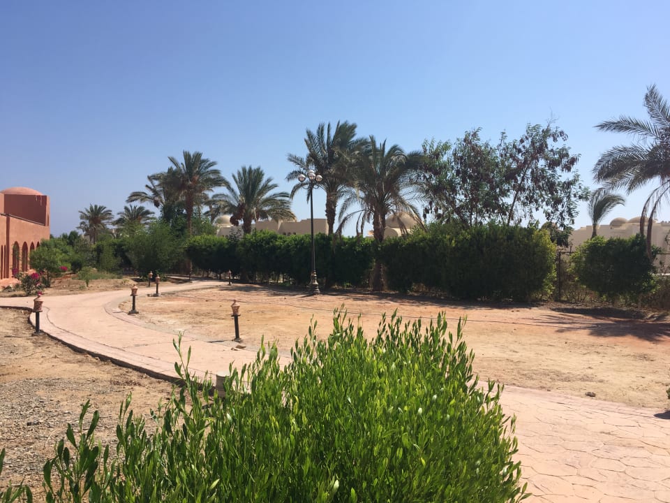 Gartenanlage Swisstouch Oriental Resort Marsa Alam