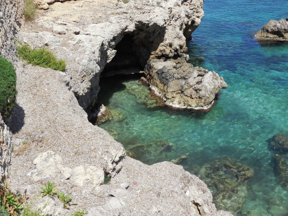 Vissen kijken Calimera Fido Gardens