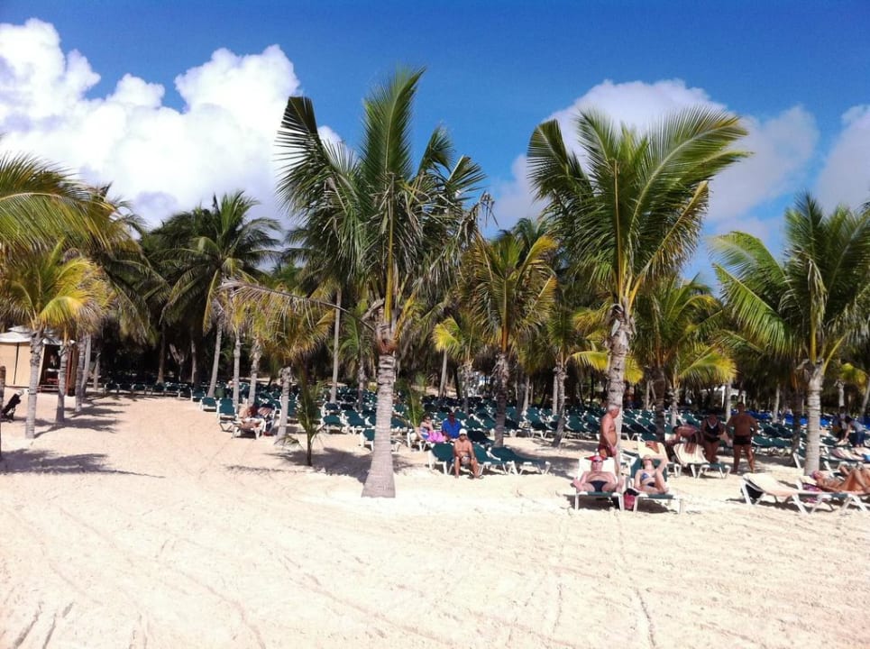 Strand RIU Tequila Hotel Riu Tequila