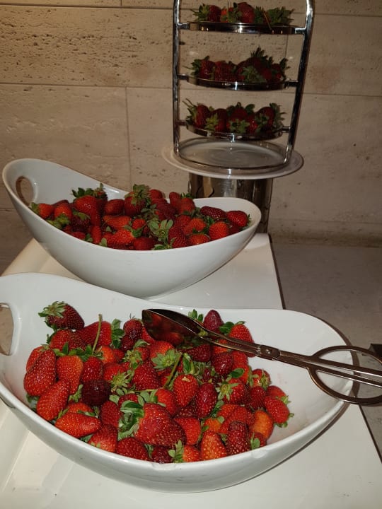 Gastro Acanthus Cennet Barut Collection