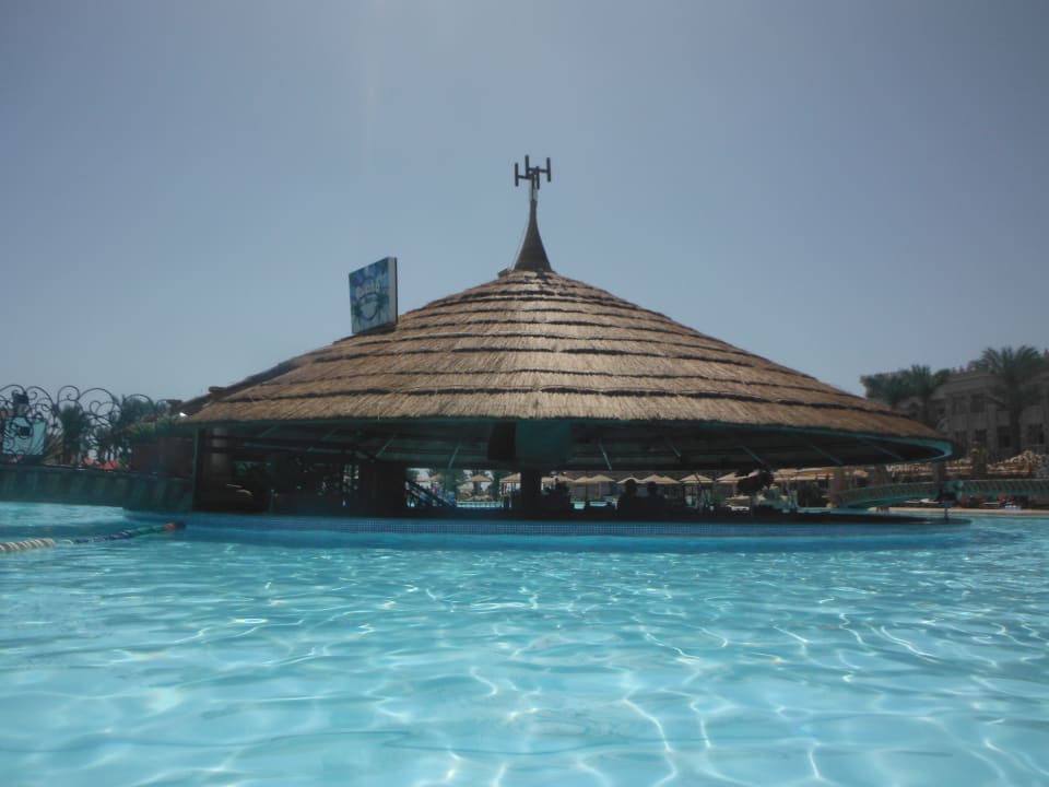 Pool Pickalbatros Palace Resort