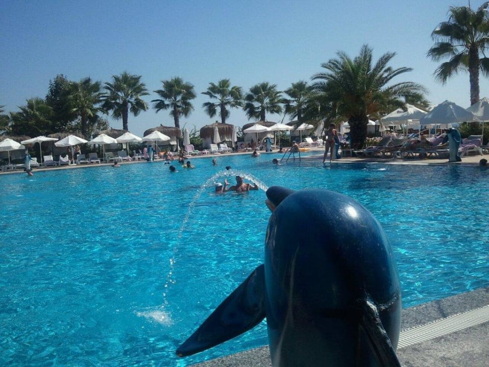 Relaxpool (einer von dreien) Botanik Hotel & Resort
