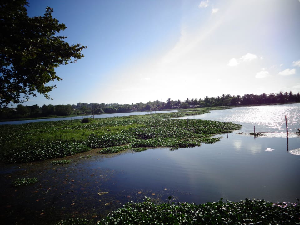 The Lake Spring of Life Ayurveda Resort