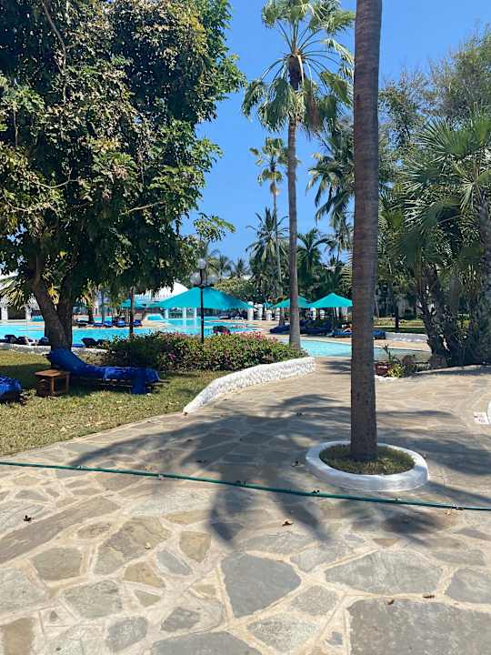 Gartenanlage Hotel Southern Palms Beach Resort